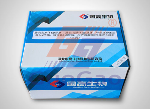 肺炎支原體IgM抗體、肺炎衣原體IgM抗體、呼吸道合胞病毒IgM抗體、腺病毒IgM抗體、柯薩病毒B組抗體聯(lián)合檢測(cè)（三類）